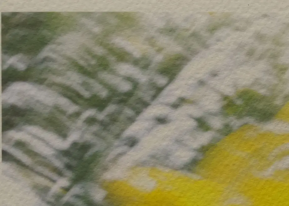 5ed6af4034ef0115e0be9b36