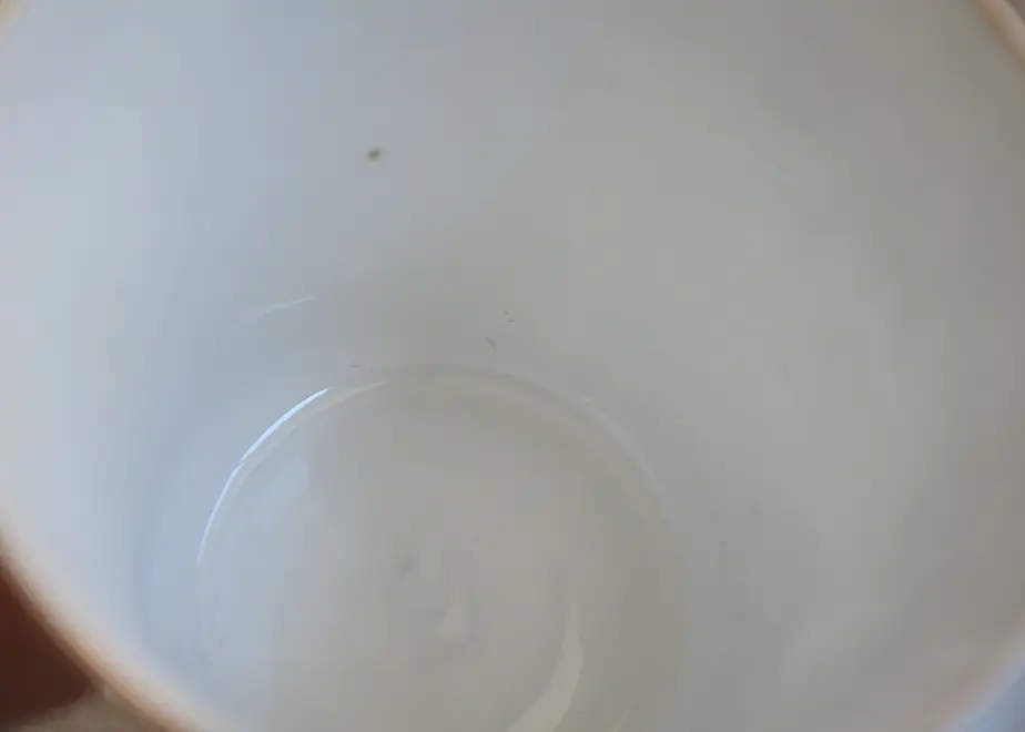 61c4aa0b3475ed3bca7e56ac