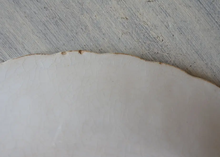 5f919cfe15ab311035a41595