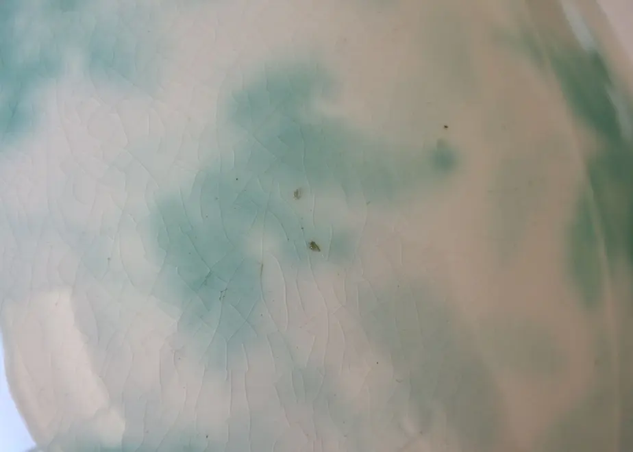 62864561f3de5c03c0c20955
