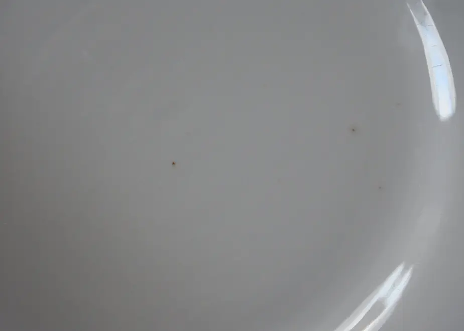 614a0b69603feb54e01aff16