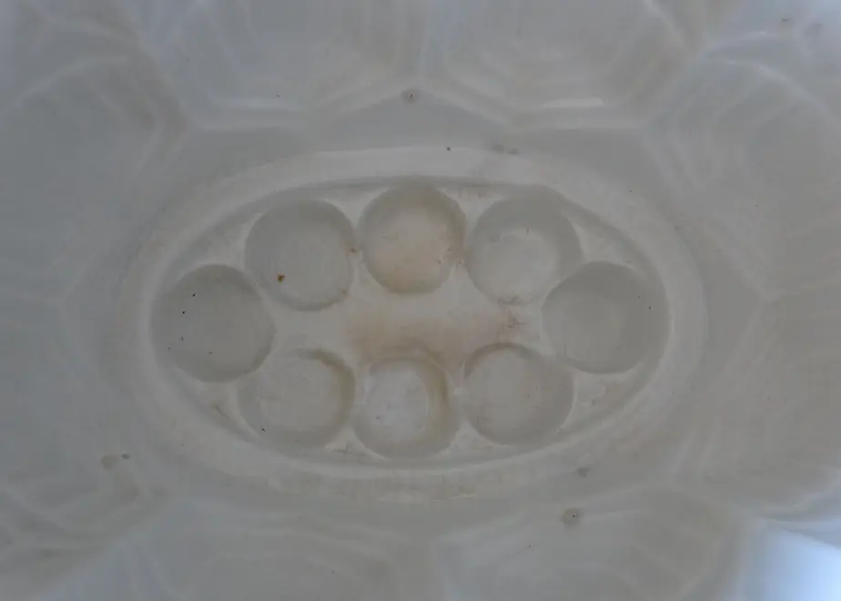 5e2312234c4ae87d91aea499