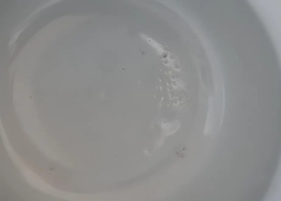 61c453e1c725860856f8ae3b