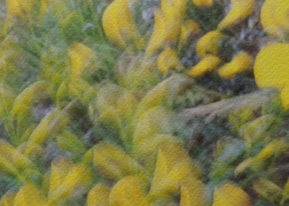 5ed6afd2cee9ea0605dd55af