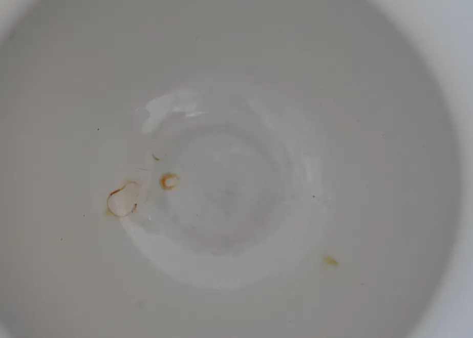 61221e72202397798a9e2f32