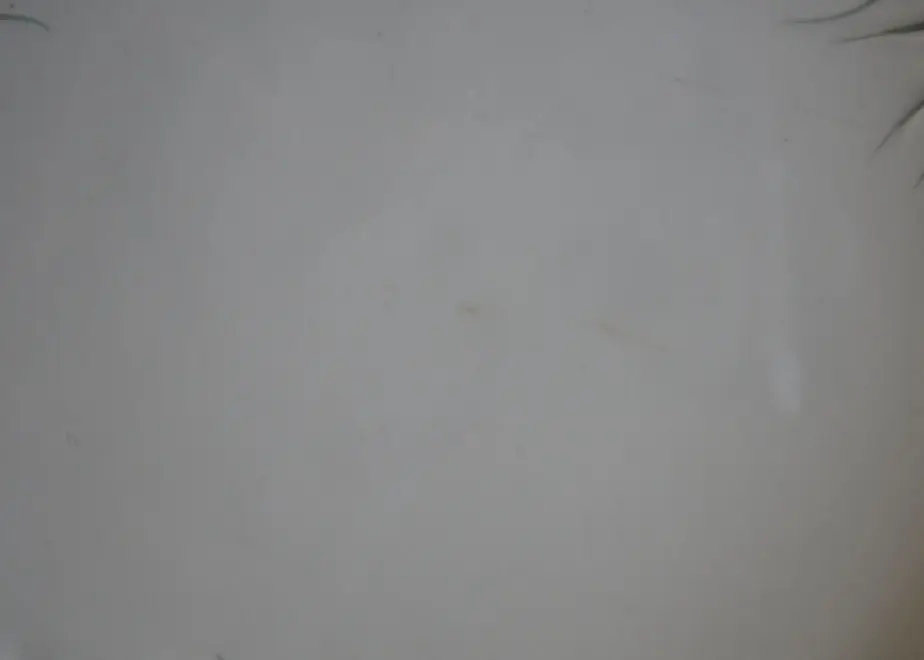 624e9deac9883d3c05f4bbbd