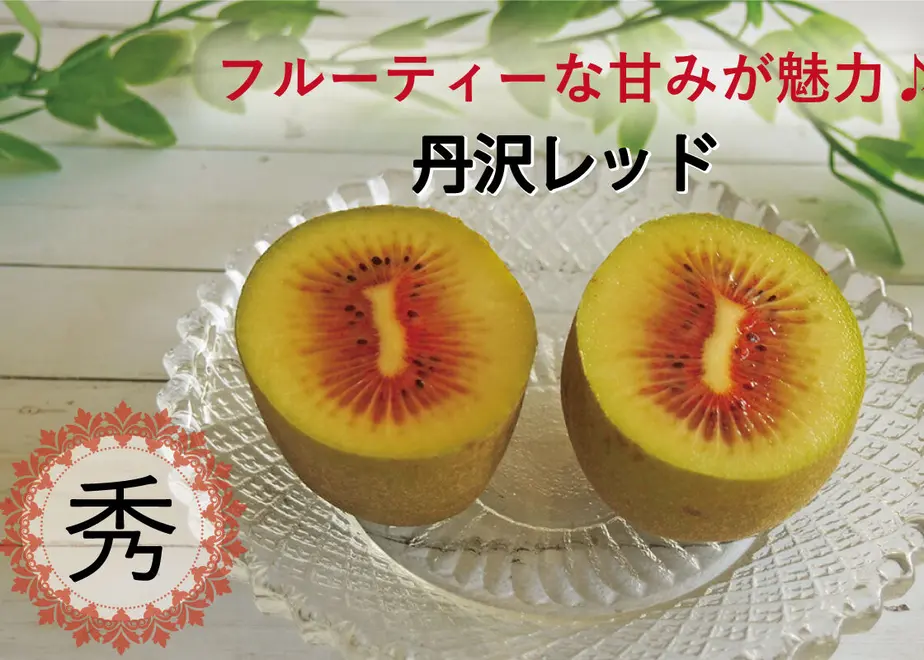 6156b43c23055772f35e99e5