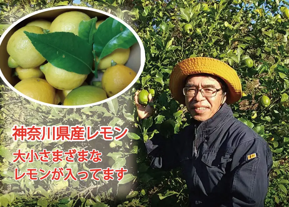 61b319e63475ed450cf60ad2