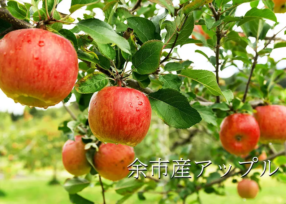 60cc50e4933e9b549836a197