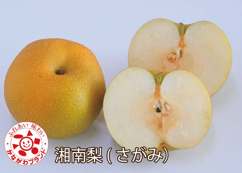 60f6447f0d4f3a25b633ebc5