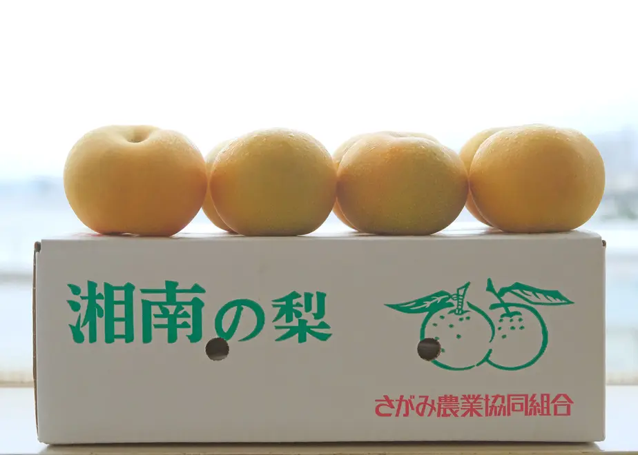 60f6447f0d4f3a25b633ebc5