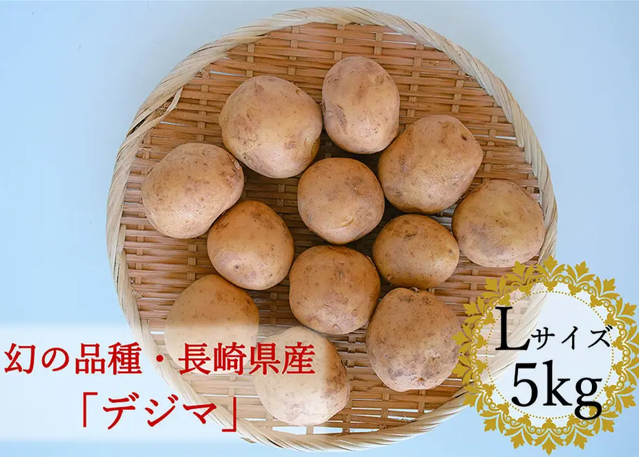 61dd2aa7110dda5432d78333