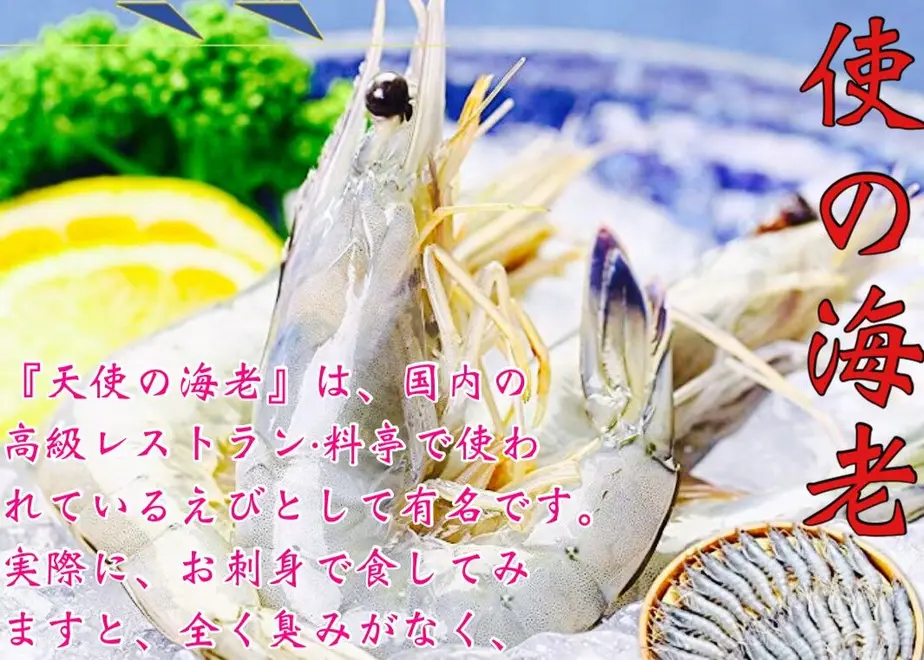6100e01ed3dc8911208e6e44