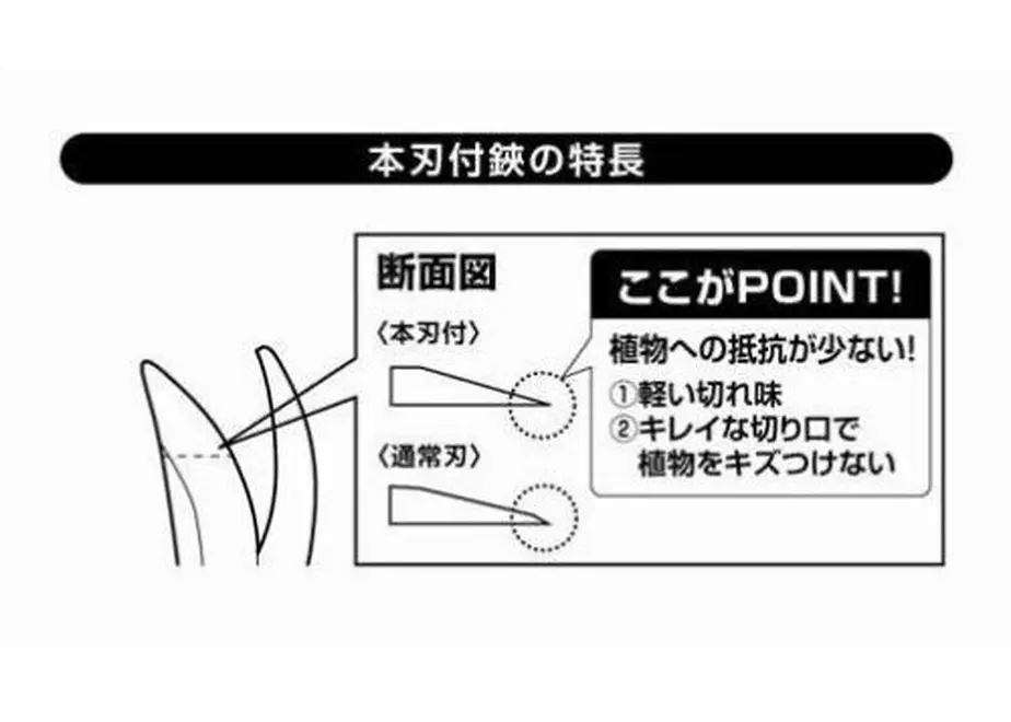 5f62e9defbe5b578ac536d3a