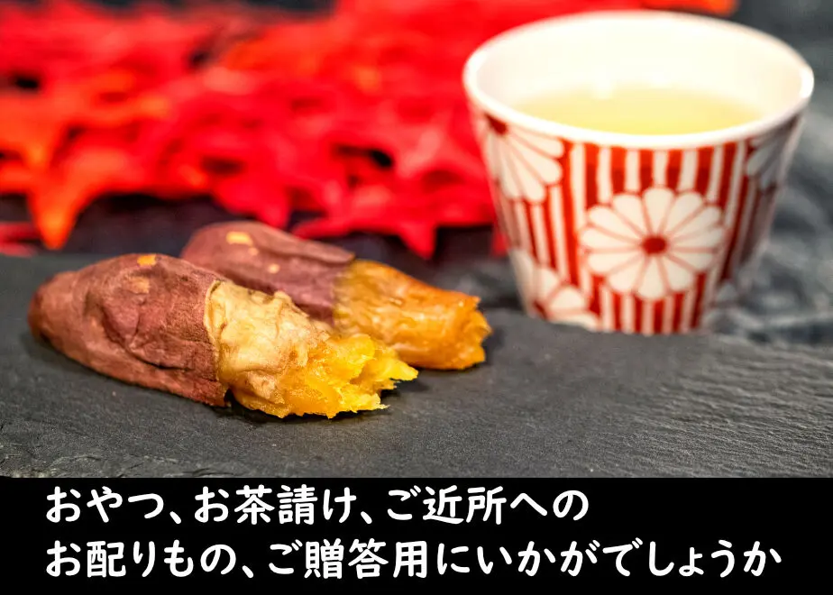 6027d74231862571698c2221