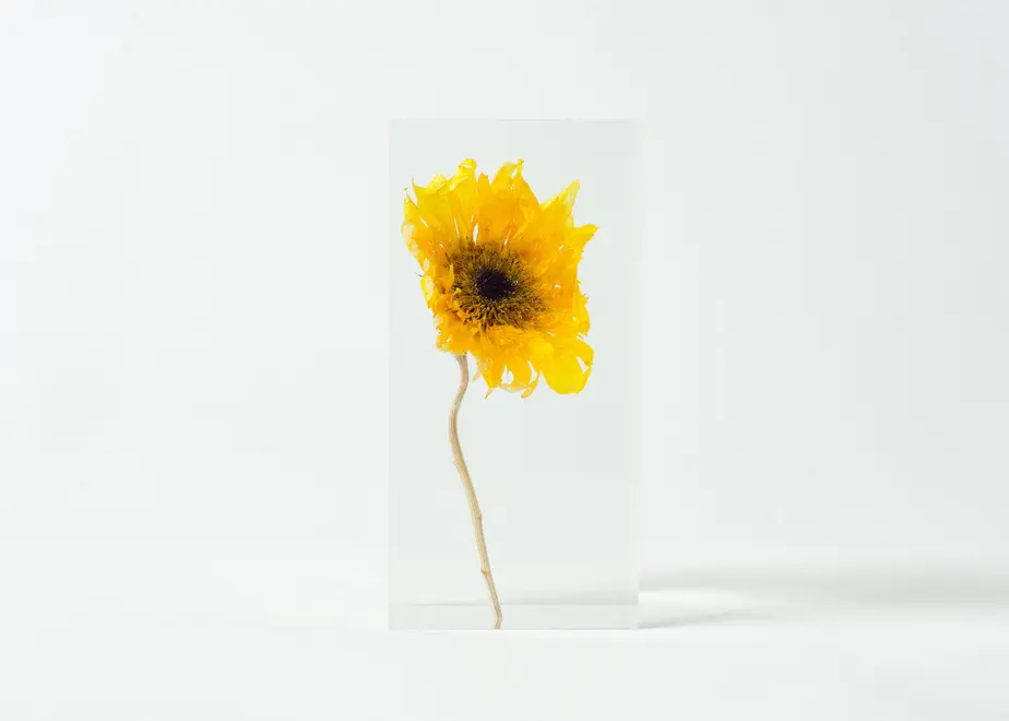 5f7912c03ae0f40420df7277
