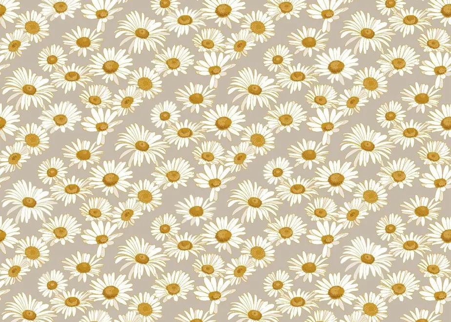 61550ae5230557040025c638