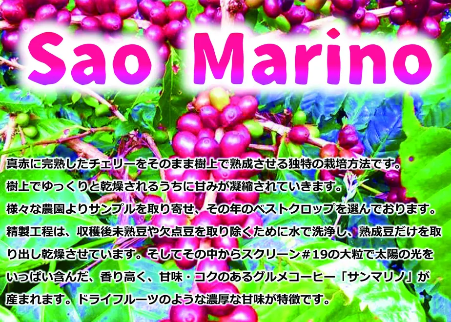 6350c870c15c5a5be4af7031