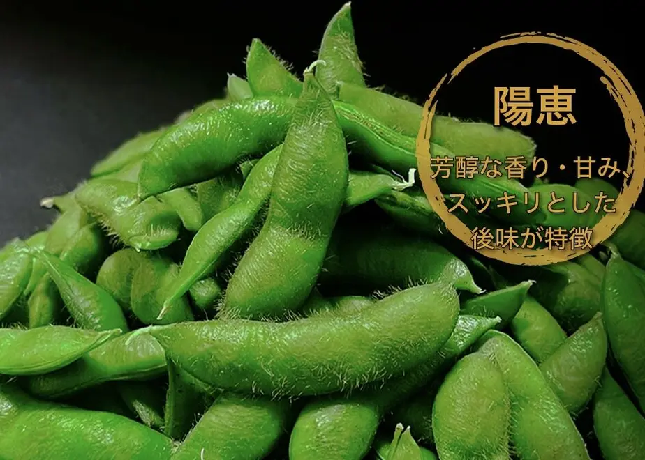 60d6a02091260a5d32f6a9c3
