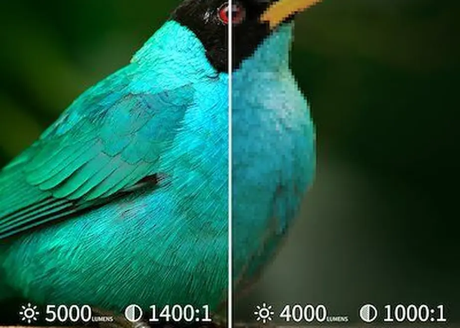 6054945e9dbfee3c3e4a4668