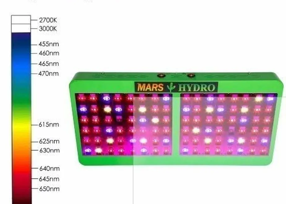 5cd82bb10376c617b7521e44