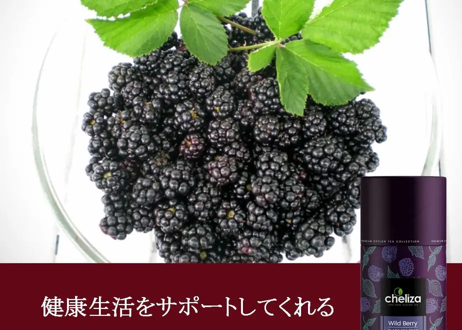 5e784a39e20b0449f9566206
