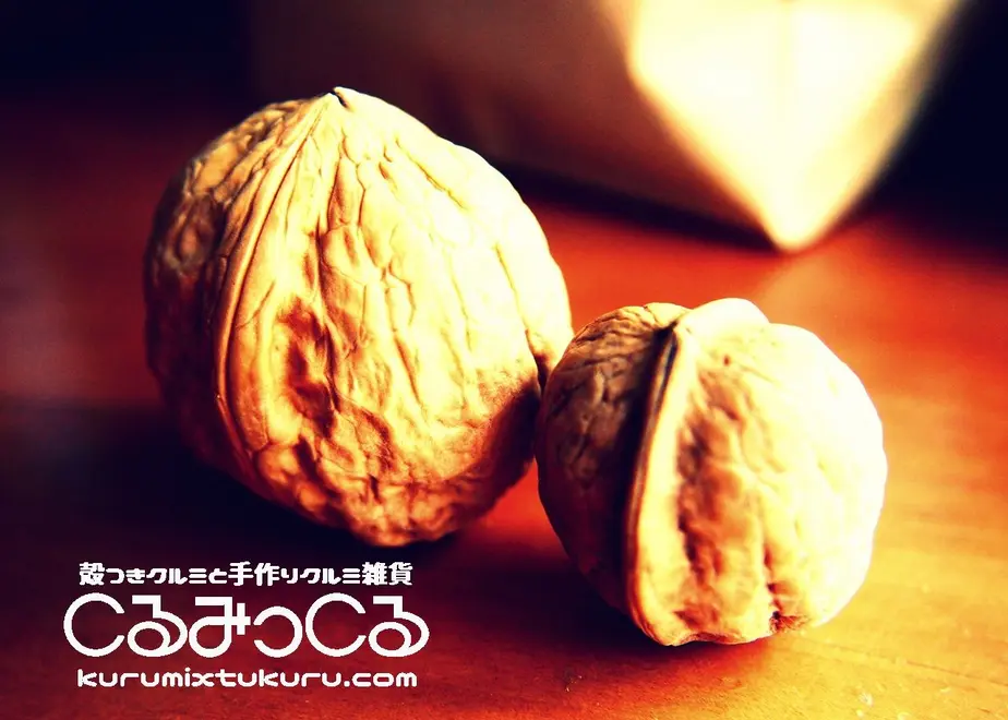 56d577723cd4824cbb001d63