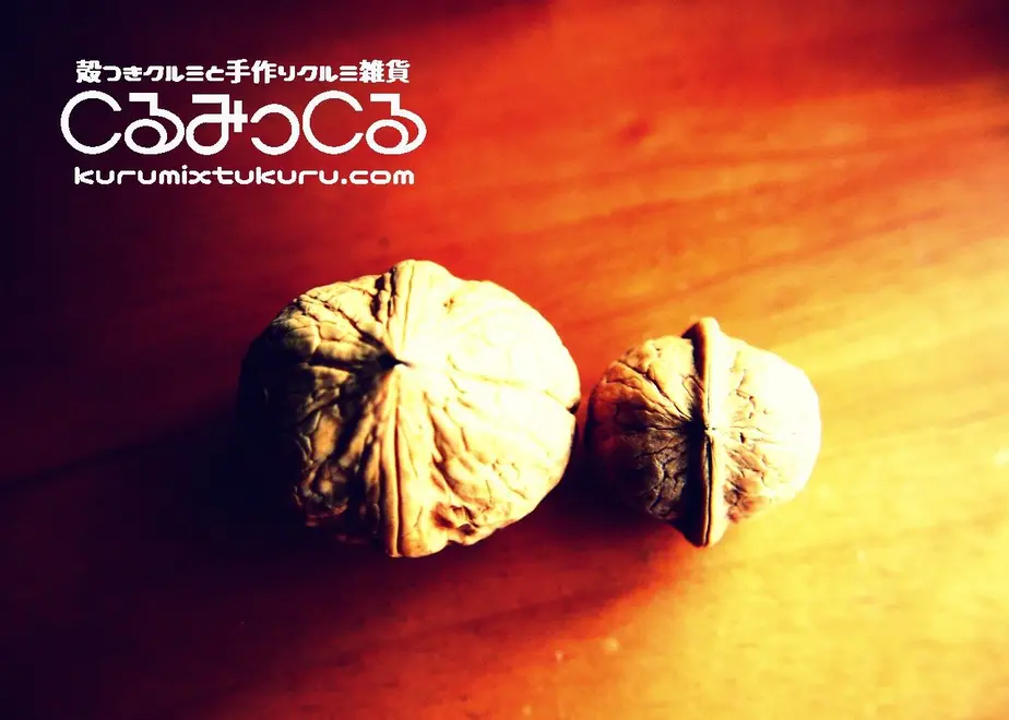 56d577723cd4824cbb001d63