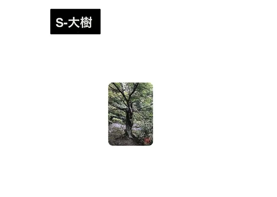 5f1fc732791d02526d41e731