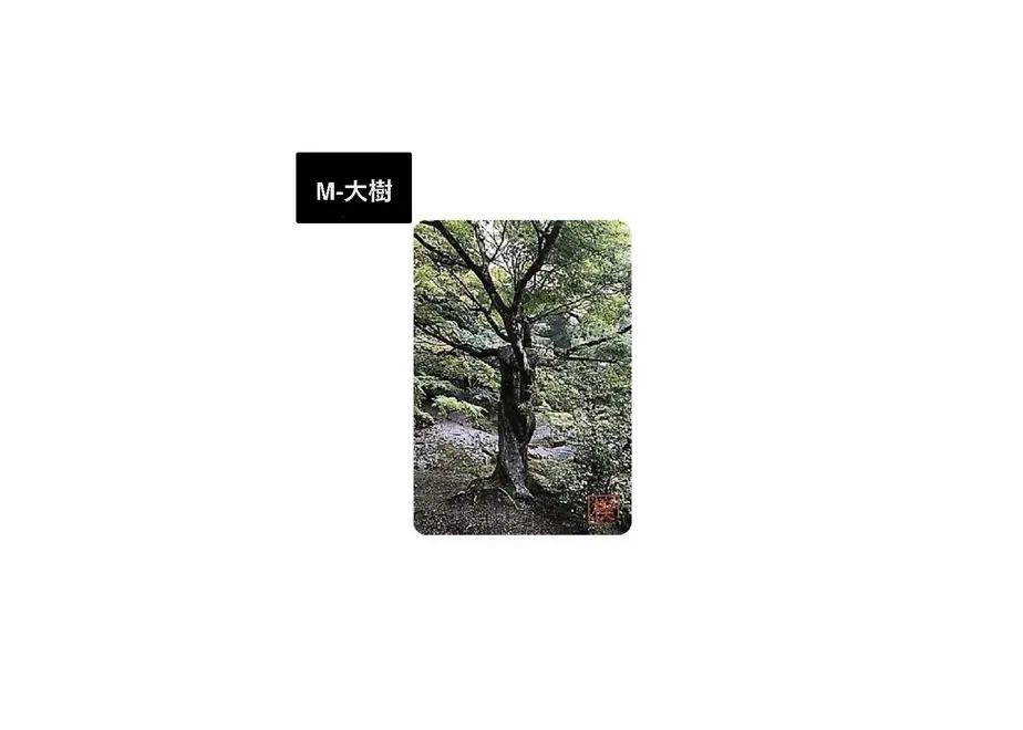 5ee71ed81829cd33749ec805