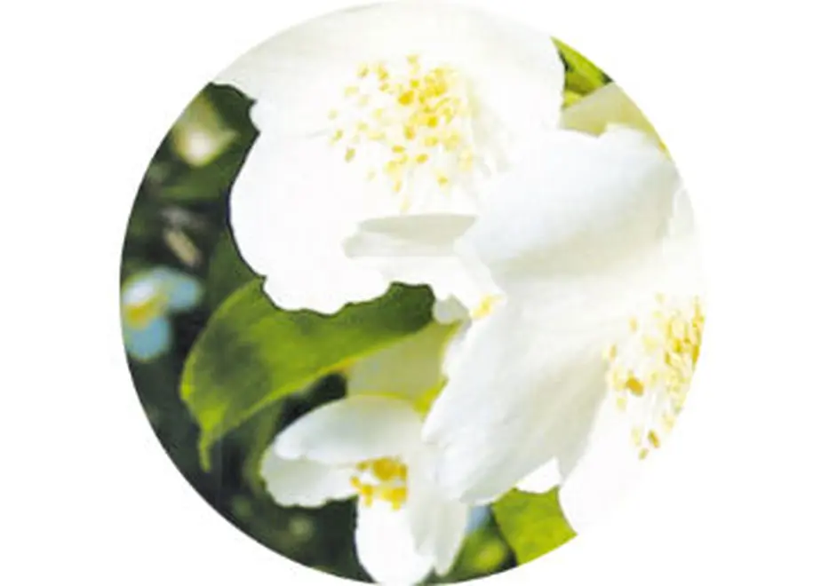 603f59b124386048cefc8f9d