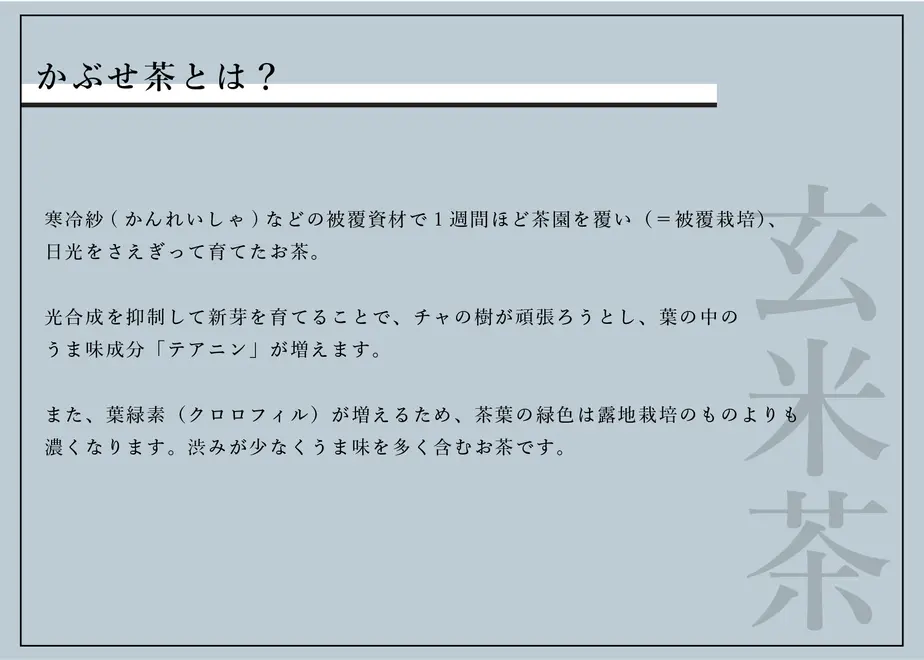 60fe97da0d4f3a0dce708dc8