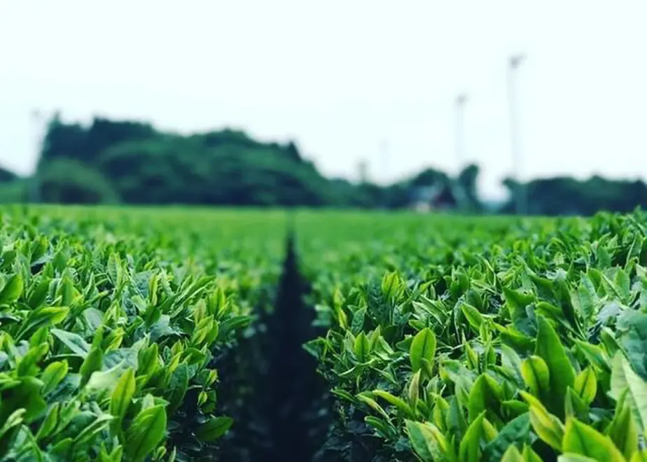 5f290e5c791d021f27d7efba