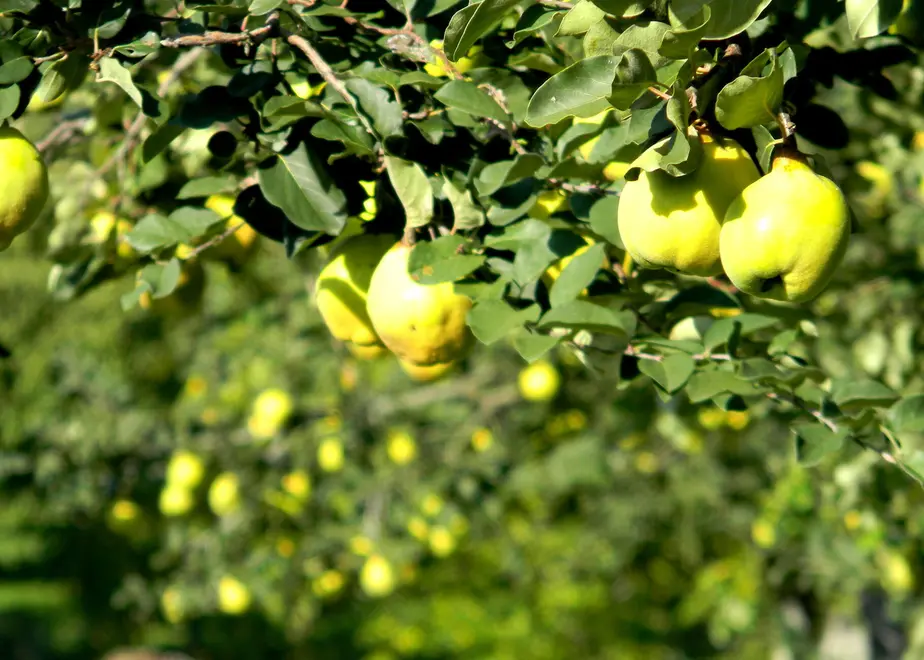 601ca3913186257498b6b306