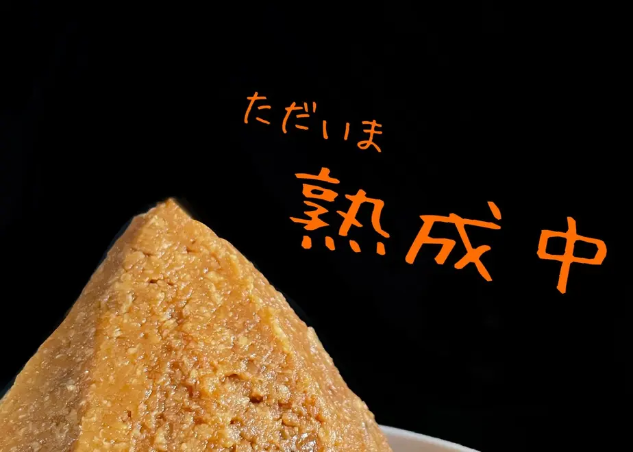 6331110c2e74526c603079a2