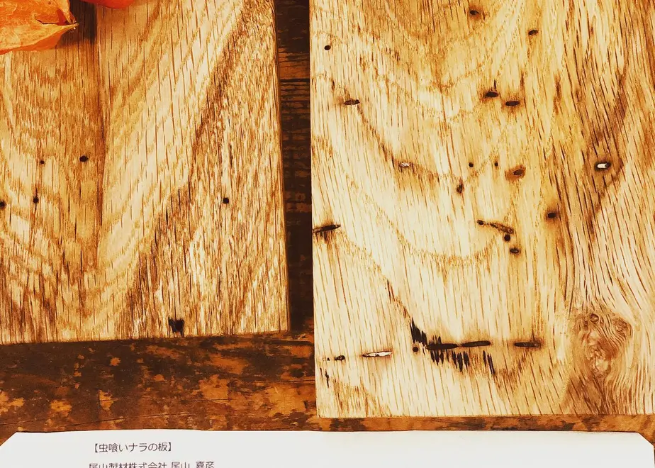 5ed5eb4134ef0108f0bdf533
