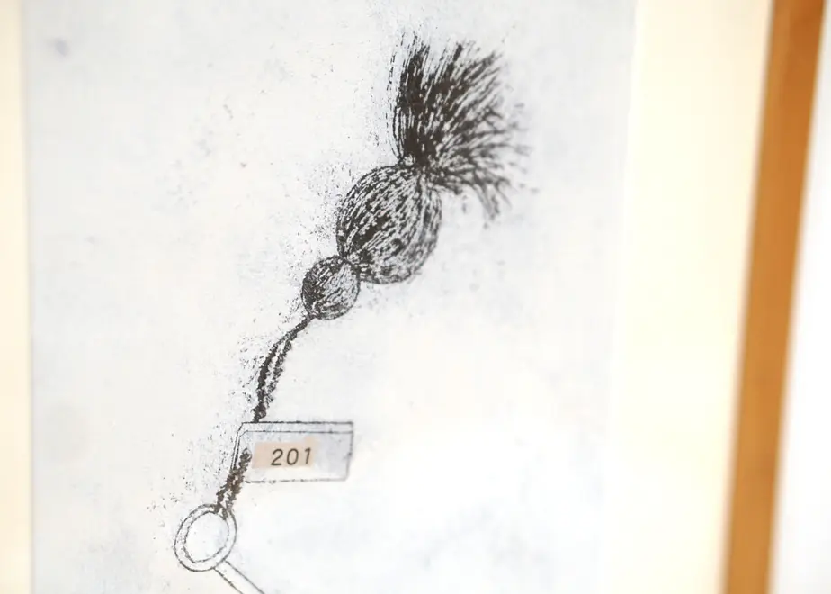 618d11882b3ca1342794949c