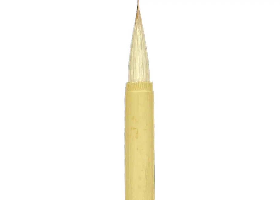 63800cac4b08393683bae750