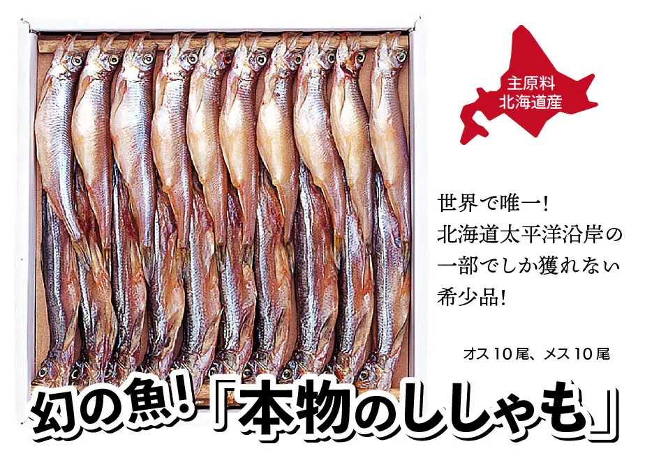 62be926f57a91c06fc32e273