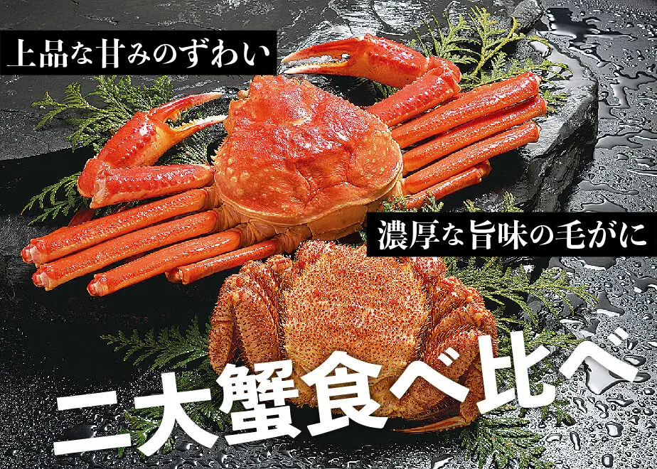 62be926f57a91c06fc32e279