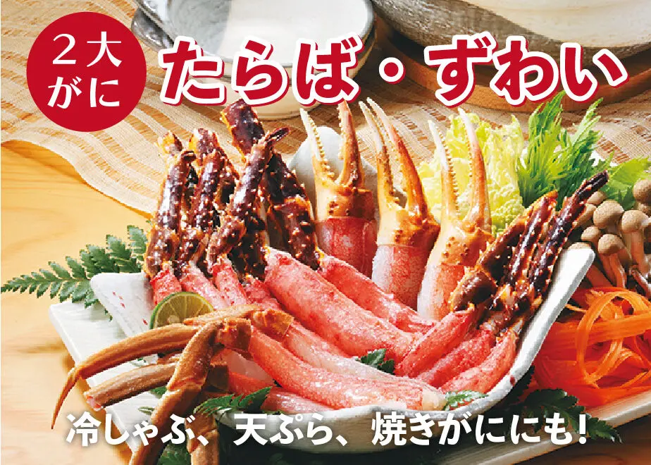 62be927257a91c06fc32e2b3