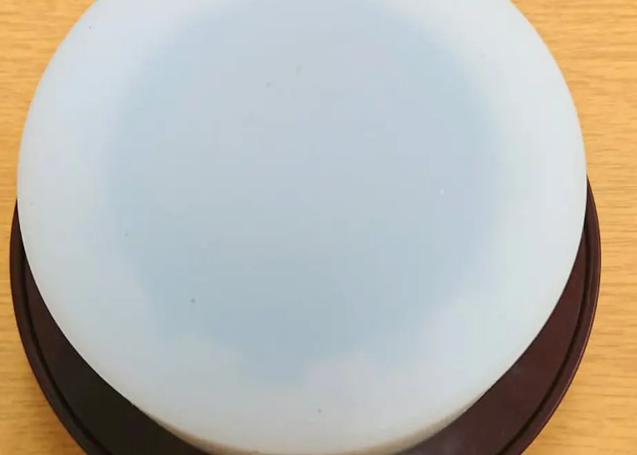 61301c61e406b8767d6ca370