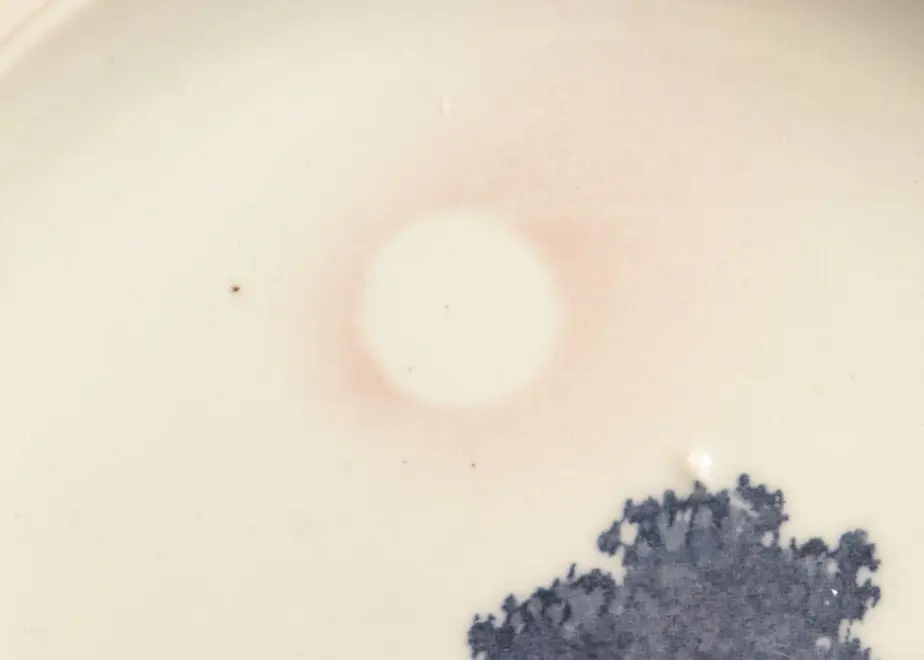 63084d2084bcfd665483cc7b