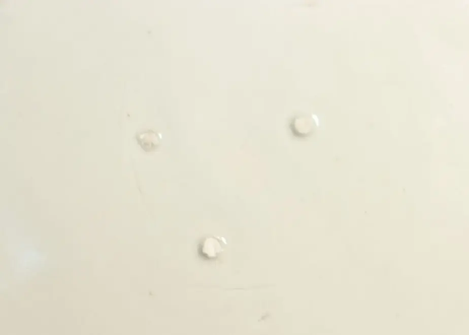 62f76c54a7e5606e941e08c3