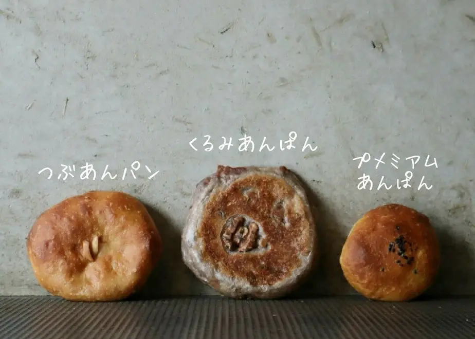 62a440a5d085ee138cc23cd3