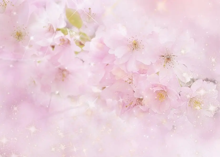 6367bd12f80f1e38198fc903