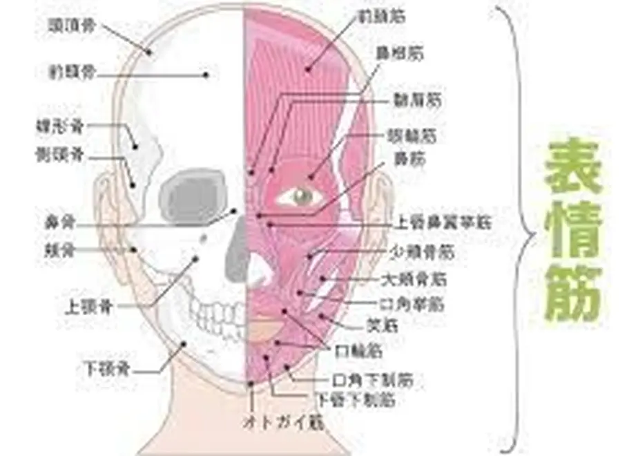 623d50dba861130d93faf3d6