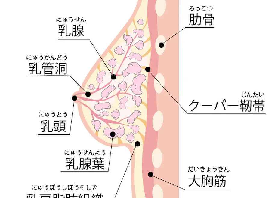 5f6e928793f6192f7fd8ab22