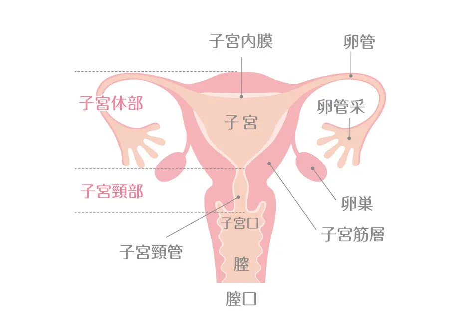 61a040f3d5ffeb61a685e88e