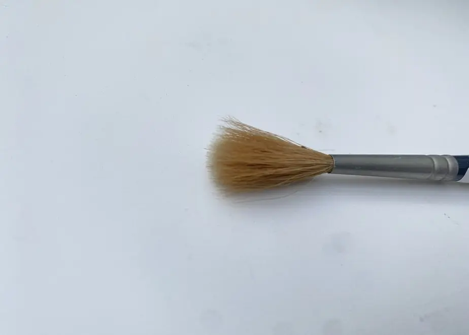 61fd0360c15c5a1955107b51